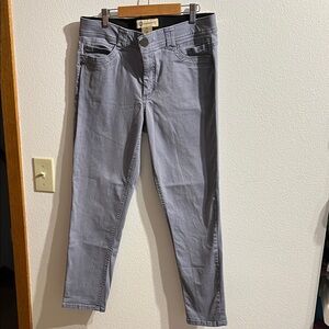 Democracy Light Gray Denim Pants